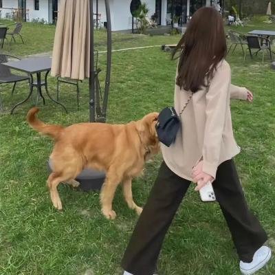 暂时停止呼吸2